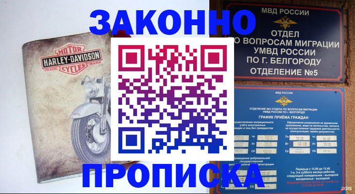 прописка для школы в Шимановске